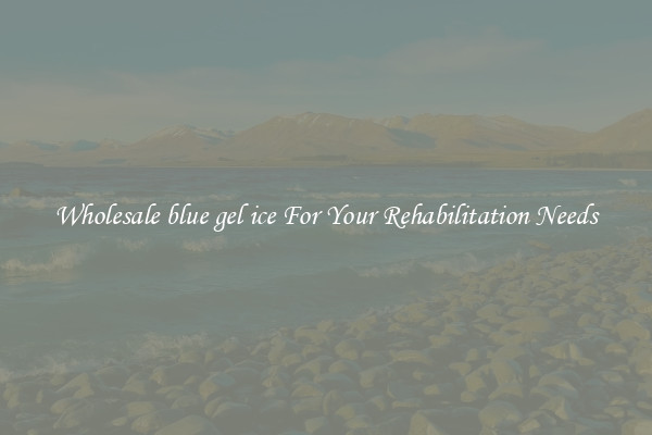 Wholesale blue gel ice For Your Rehabilitation Needs