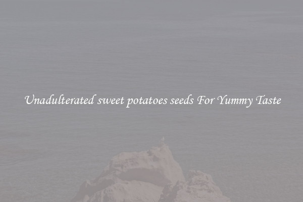 Unadulterated sweet potatoes seeds For Yummy Taste