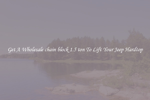 Get A Wholesale chain block 1.5 ton To Lift Your Jeep Hardtop