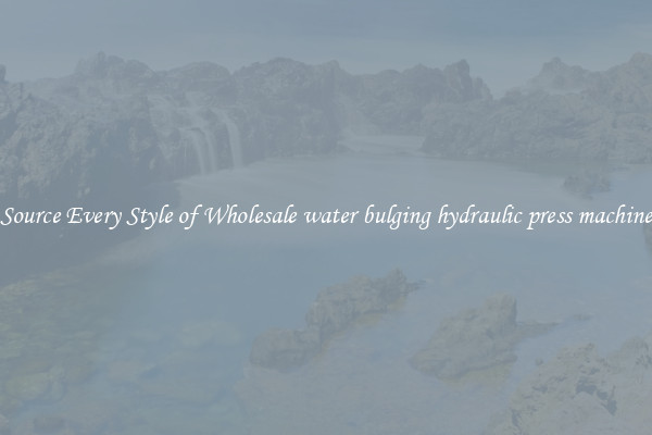 Source Every Style of Wholesale water bulging hydraulic press machine