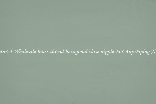 Featured Wholesale brass thread hexagonal close nipple For Any Piping Needs
