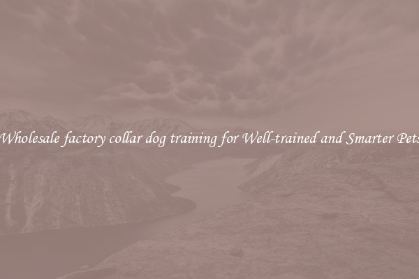Wholesale factory collar dog training for Well-trained and Smarter Pets