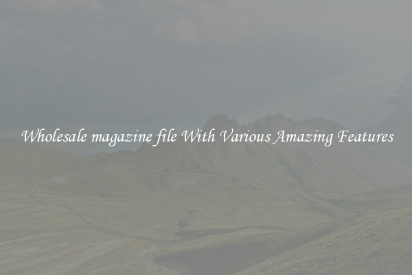 Wholesale magazine file With Various Amazing Features