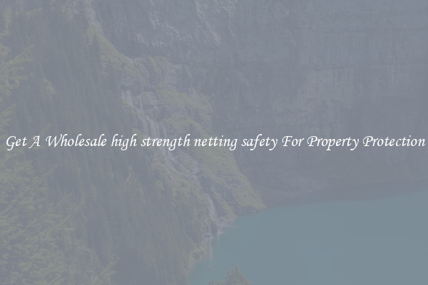 Get A Wholesale high strength netting safety For Property Protection