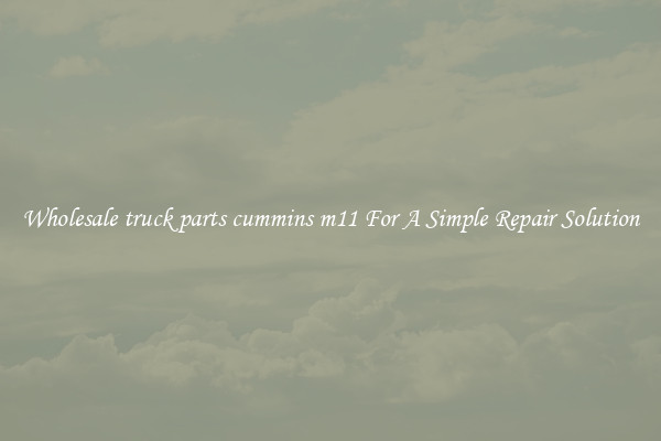 Wholesale truck parts cummins m11 For A Simple Repair Solution