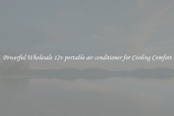 Powerful Wholesale 12v portable air conditioner for Cooling Comfort