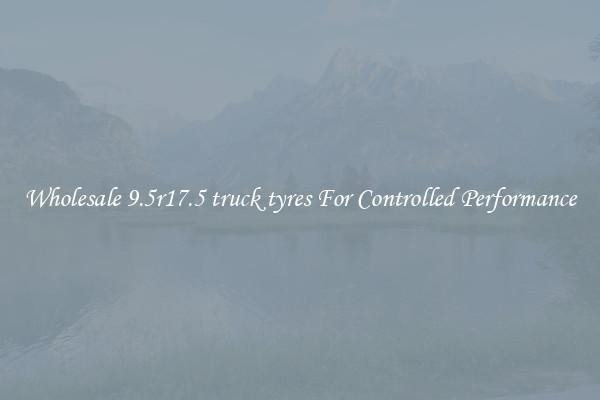 Wholesale 9.5r17.5 truck tyres For Controlled Performance
