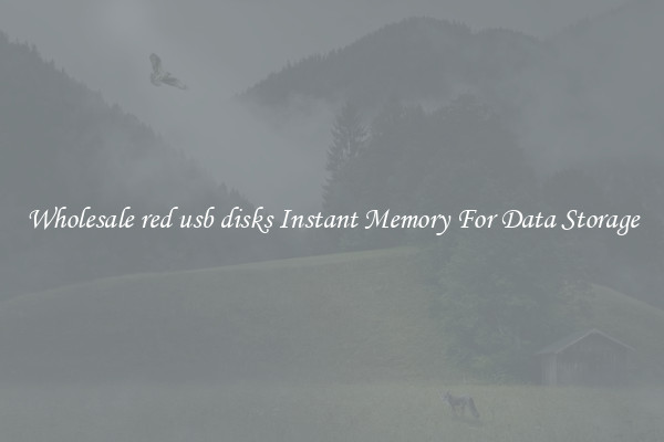 Wholesale red usb disks Instant Memory For Data Storage