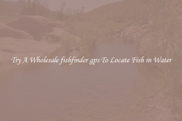Try A Wholesale fishfinder gps To Locate Fish in Water