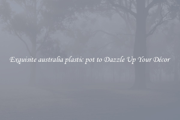 Exquisite australia plastic pot to Dazzle Up Your Décor 