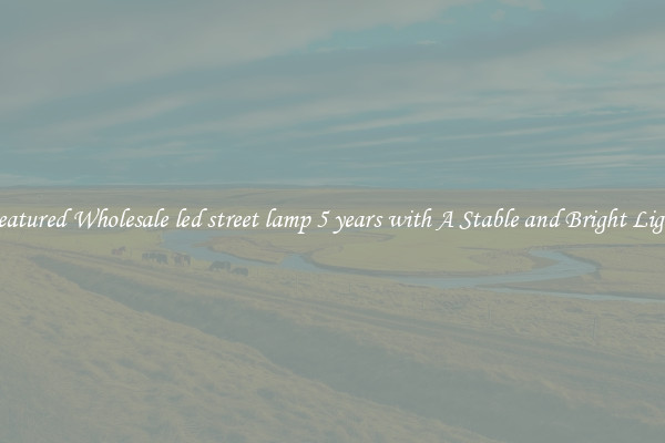 Featured Wholesale led street lamp 5 years with A Stable and Bright Light