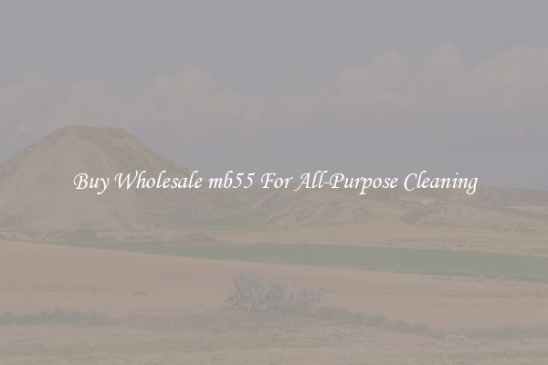 Buy Wholesale mb55 For All-Purpose Cleaning