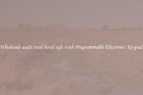 Wholesale audit trail hotel safe with Programmable Electronic Keypad 