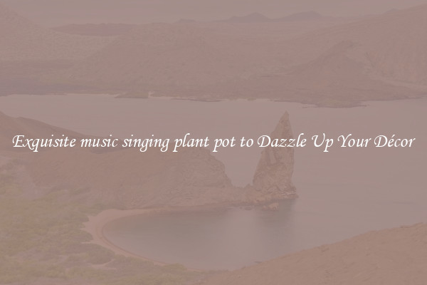 Exquisite music singing plant pot to Dazzle Up Your Décor 