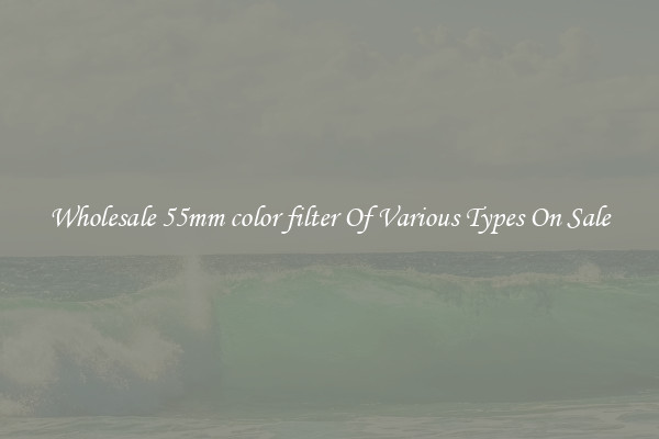 Wholesale 55mm color filter Of Various Types On Sale